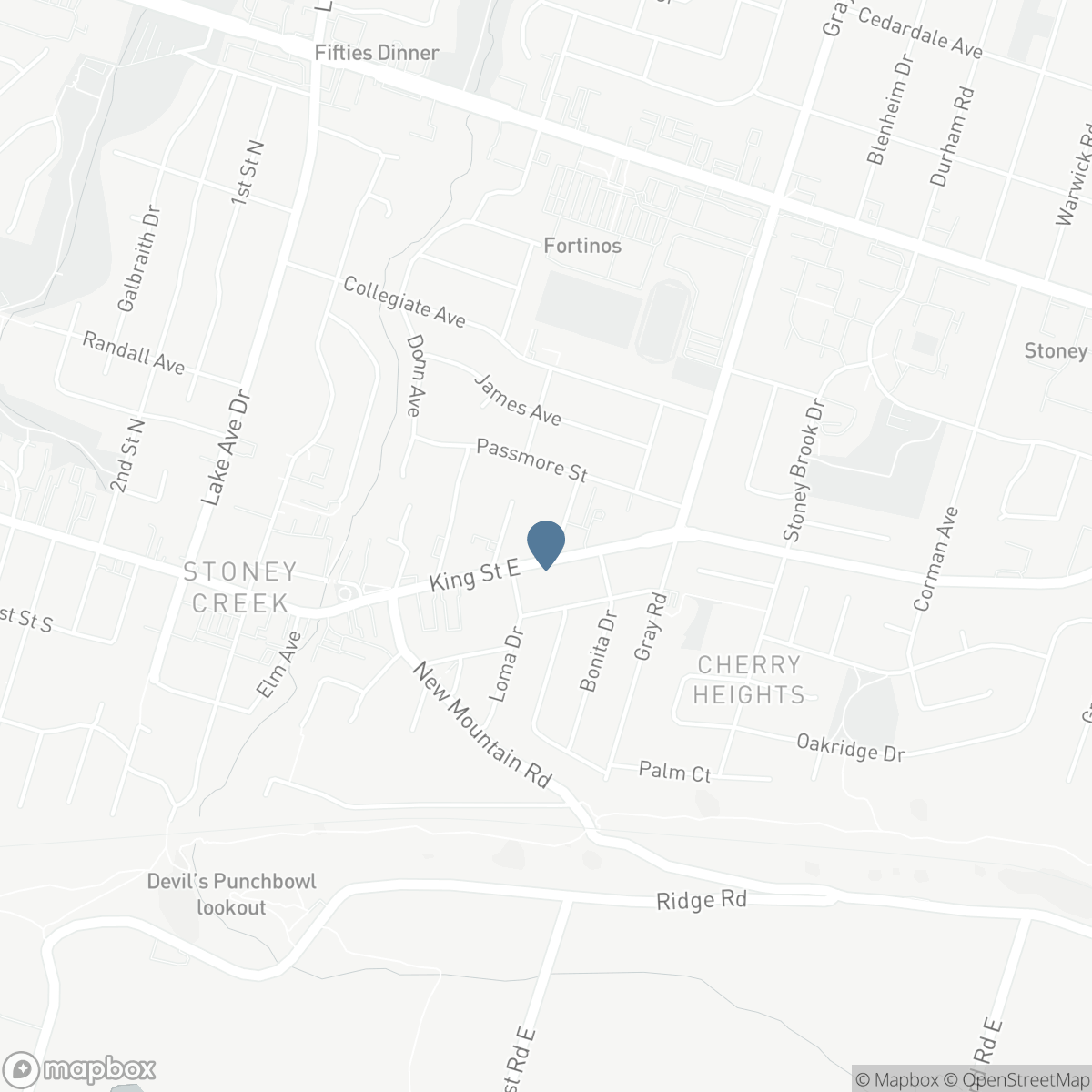 121 KING STREET E, Hamilton, Ontario L8G 1L2